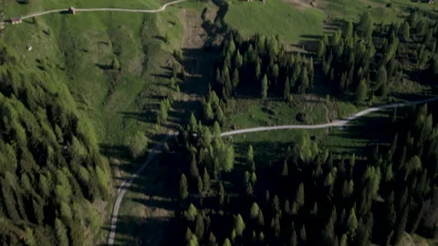 Exploring the serene beauty of a winding forest road beneath the bright blue sky Stock Footage 314081069