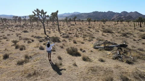 Exploring the serene desert landscape while capturing stunning altitude views Stock Footage 312672612
