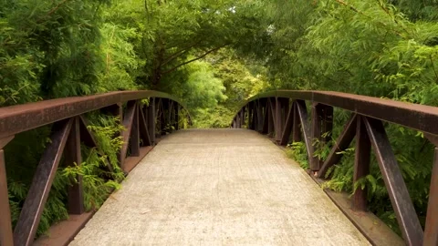 Exploring a serene footbridge surrounded by lush greenery in the afternoon Vidéo 284095622