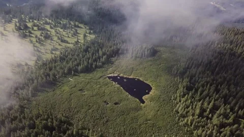 Exploring a serene forest lake amid morning fog Stock Footage 320293513