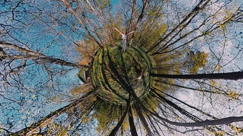 Exploring a serene forest landscape with vibrant spring colors Stock Footage 308659858