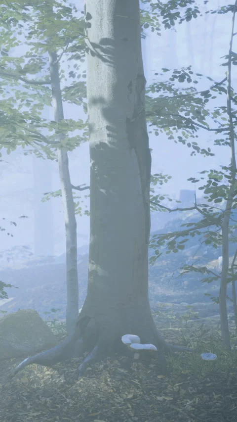 Exploring the serene forest with majestic trees and tranquil elements Stock Footage 334254352