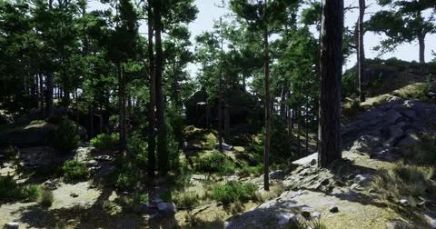 Exploring a serene forest path surrounded by towering trees and rocks イラスト素材