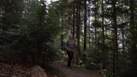 Exploring a serene forest trail surrounded by lush greenery Stock Footage 288115331