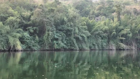 Exploring a Serene Jungle River by Canoe in 4K Ultra HD Stock Footage 302763099