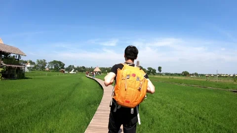 Exploring a Serene Rice Field Pathway Stock Footage 319414840