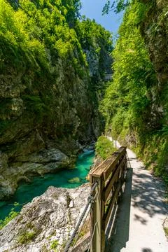 Exploring Serene Tolmin Gorges Pathway Amidst Lush Green Nature and Crystal.. Stock Photos