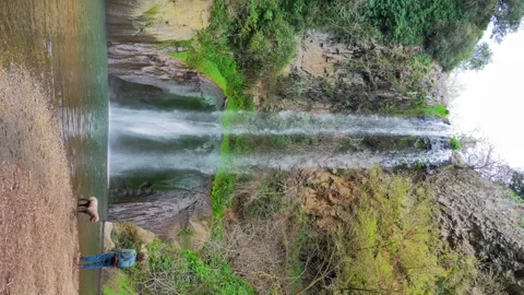 Exploring a Serene Waterfall With a Loyal Dog in a Lush Forest Setting Stock Footage 280999575