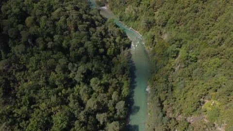 Exploring the Serene Waters and Lush Forests of Verdon Natural Regional Park Stock Footage 280600697