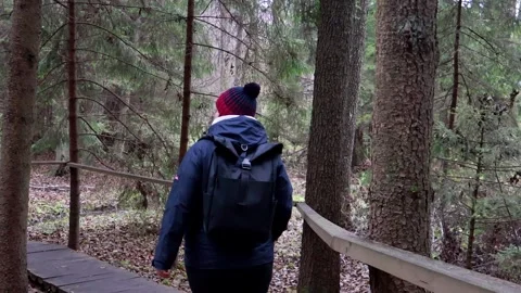 Exploring the serenity of a forest trail on a chilly day Stock-Footage 295332559
