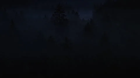 Exploring the shadows of bavarian forest national park at night Stock Footage 325636475