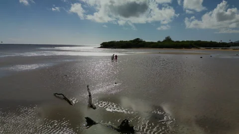 Exploring the Shallows: A Day at Kuliʻouʻou Beach Vidéo 283530355