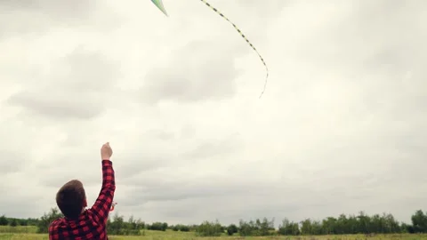 Exploring sky and land, kite trailing brightly, curious boy amazed, family Stock Footage 314289847