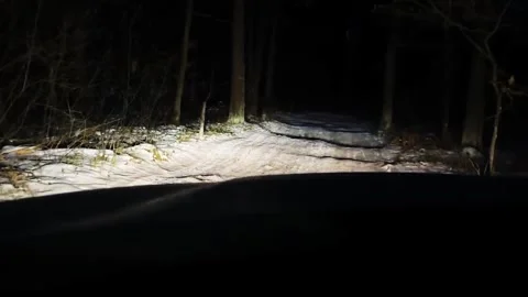 Exploring a snowy forest road at night with bright car lights illuminating the p Stock Footage 323953677