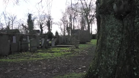 Exploring a spooky, abandoned cemetery pathway during winter afternoon Stock Footage 292924504