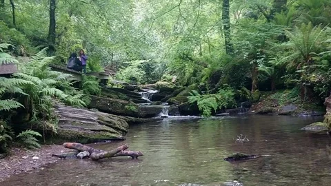Exploring St Nectan's Glen with mother and daughter 스톡 동영상 276677834