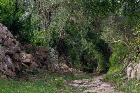 Exploring a stone path in Vale Encantado in Guia, Albufeira, Portugal Foto stock
