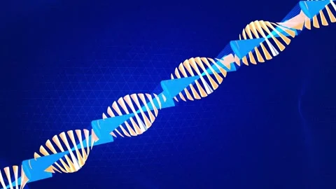 Exploring the structure and function of DNA in genetic research and biotech.. Stock-Footage 332846340