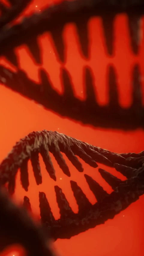 Exploring the structure of DNA with red background and intricate details Stock Footage 336171067