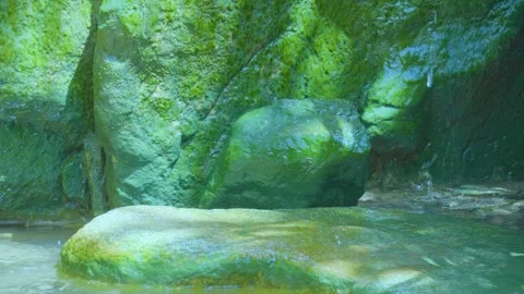 Exploring the Subtle Beauty of Mossy Rocks and Water Stock Footage 280475467