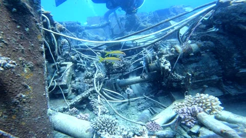 Exploring a sunken shipwreck with cables and fish Stock Footage 312206724