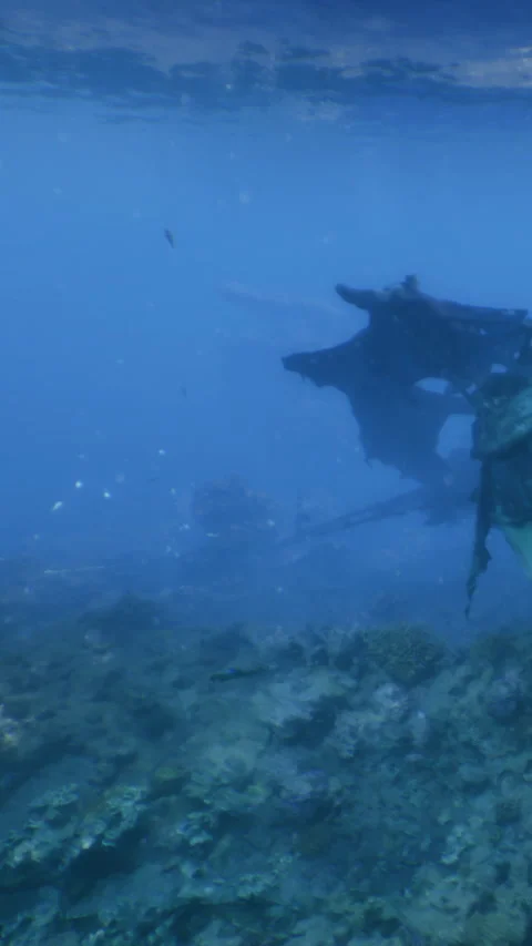 Exploring a sunken shipwreck under the oceans surface during daylight hours Stock Footage 331455048
