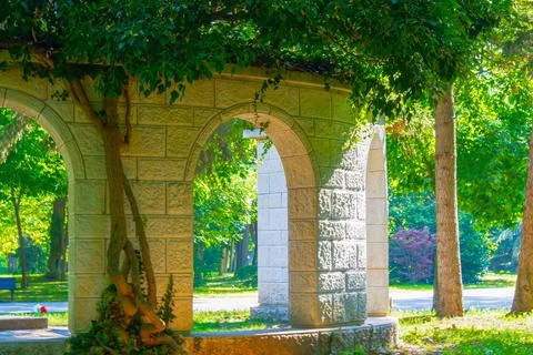 Exploring a sunlit archway in a tranquil park surrounded by lush greenery Stock Photos