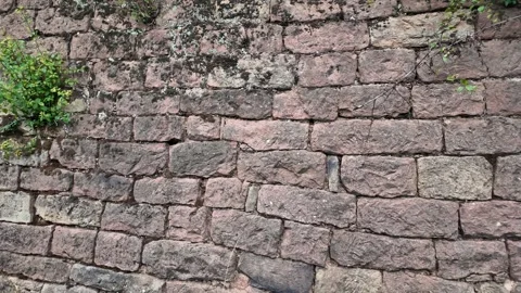 Exploring the Texture and Greenery on an Ancient Stone Wall in Nature Stock Footage 287903922