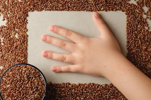 Exploring the texture and shape of organic brown rice surrounded by nature Stock Photos