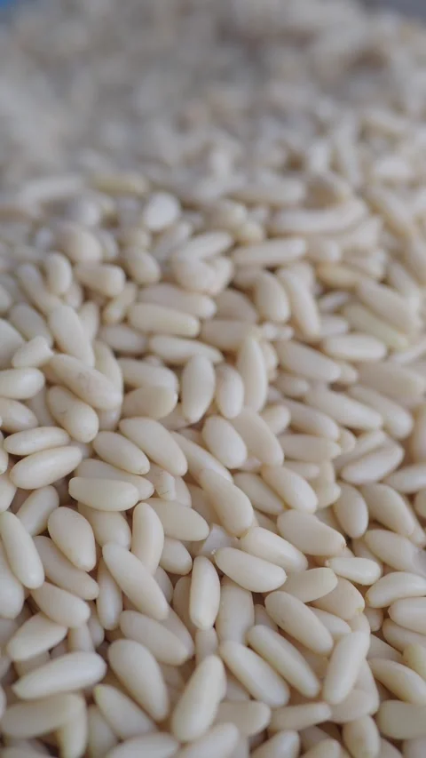 Exploring the texture and use of raw pine nuts in cooking Stock Footage 304852972