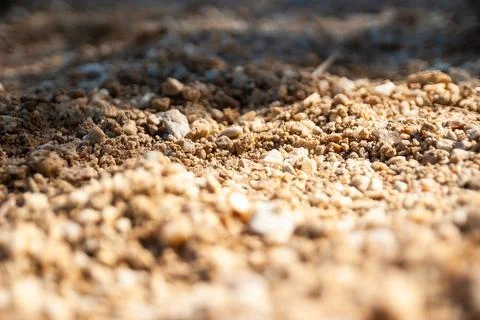 Exploring textured soil surface nature trails outdoor close-up earth elements 스톡 사진