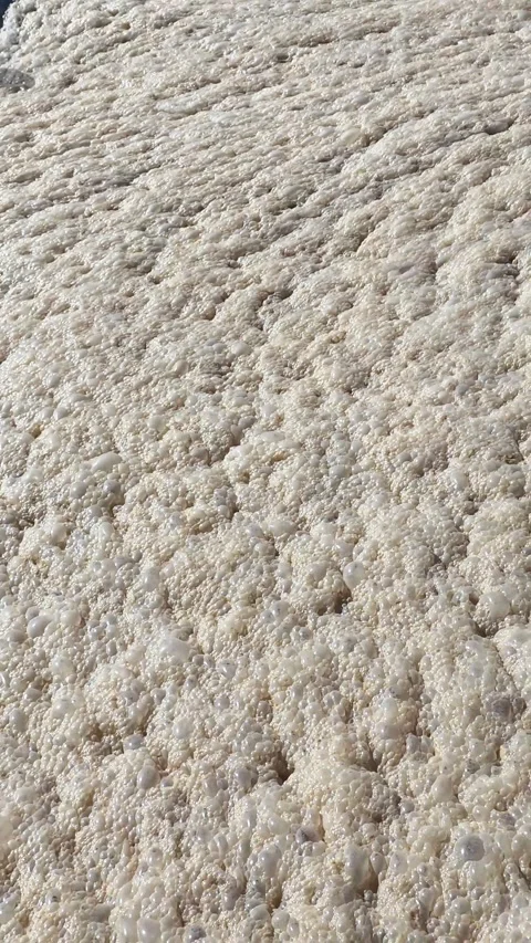 Exploring the Textures of Ancient Stone Surfaces in Stunning Detail Stock Footage 345427103