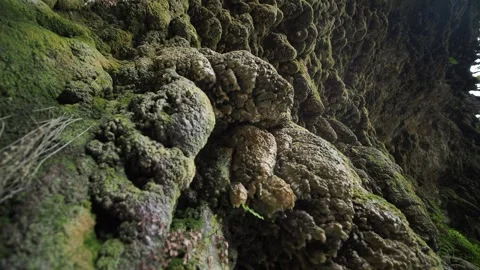 Exploring textures in a cave environment Stock Footage 339755563