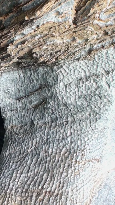 Exploring textures of a cave wall in Point Reyes National Seashore Stock Footage 321274279