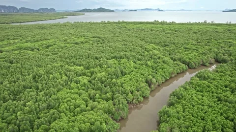 Exploring Thailand's lush landscapes through serene aerial views Video stock 310559942