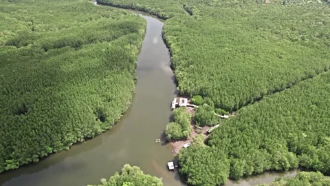 Exploring thailand's lush rivers and verdant coastlines in aerial views Video stock 310558568