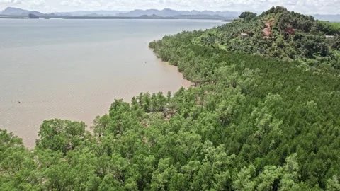 Exploring Thailand's natural beauty through serene aerial views Video stock 310558902