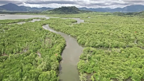 Exploring thailand's serene nature with river and forest landscapes Video stock 310557942