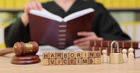 Exploring the themes of justice and accountability through the pages of a law Stock Footage 320526988