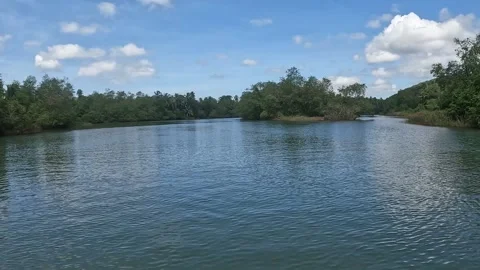 Exploring the Tranquil Backwaters of Honnavar, Gokarna, Karnataka on a boat Stock Footage 294377185