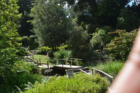 Exploring a Tranquil Bridge in a Lush Green Garden Setting Stock Photos