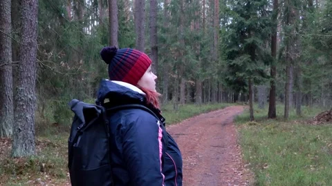 Exploring a tranquil forest path on a cool autumn day in nature Stock-Footage 295331560