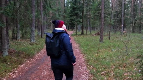 Exploring a tranquil forest path on a cool autumn day in nature Vídeos de archivo 295331635