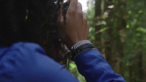 Exploring the tranquil forest trail among evergreen trees and nature Stock Footage 312470866