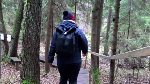 Exploring tranquil forest trails on a cool autumn day 스톡 동영상 295332227