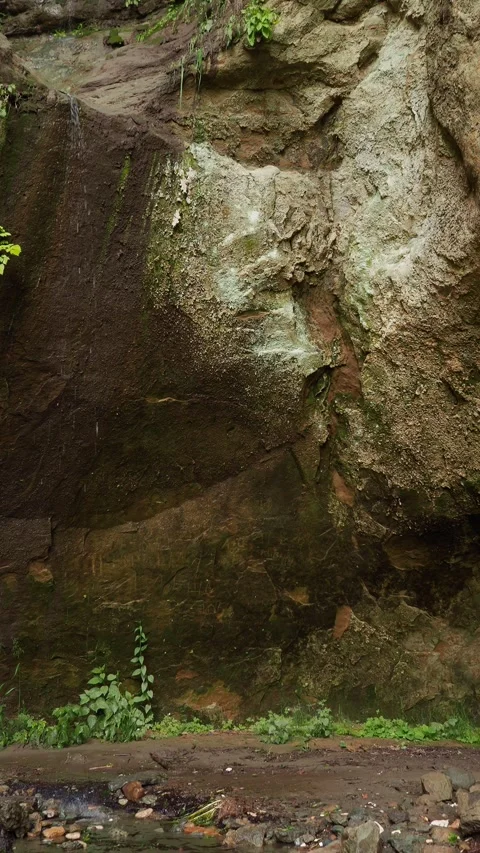 Exploring a tranquil natural rock formation with lush greenery in a serene Vídeos de archivo 313106733