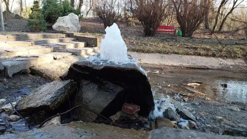 Exploring the Tranquil Park Water Source 스톡 동영상 304983863