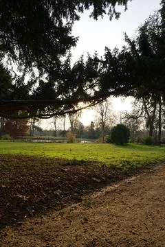 Exploring the tranquil paths of Bois de Vincennes during a serene evening i.. Stock Photos