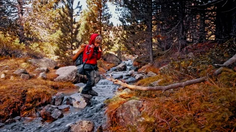 Exploring a tranquil stream in the Pyrenees mountains of Spain Stock Footage 303631965