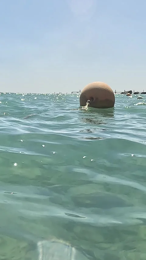 Exploring Tranquil Waters: A Journey Through the Surface and Subsurface of Видео 331806934